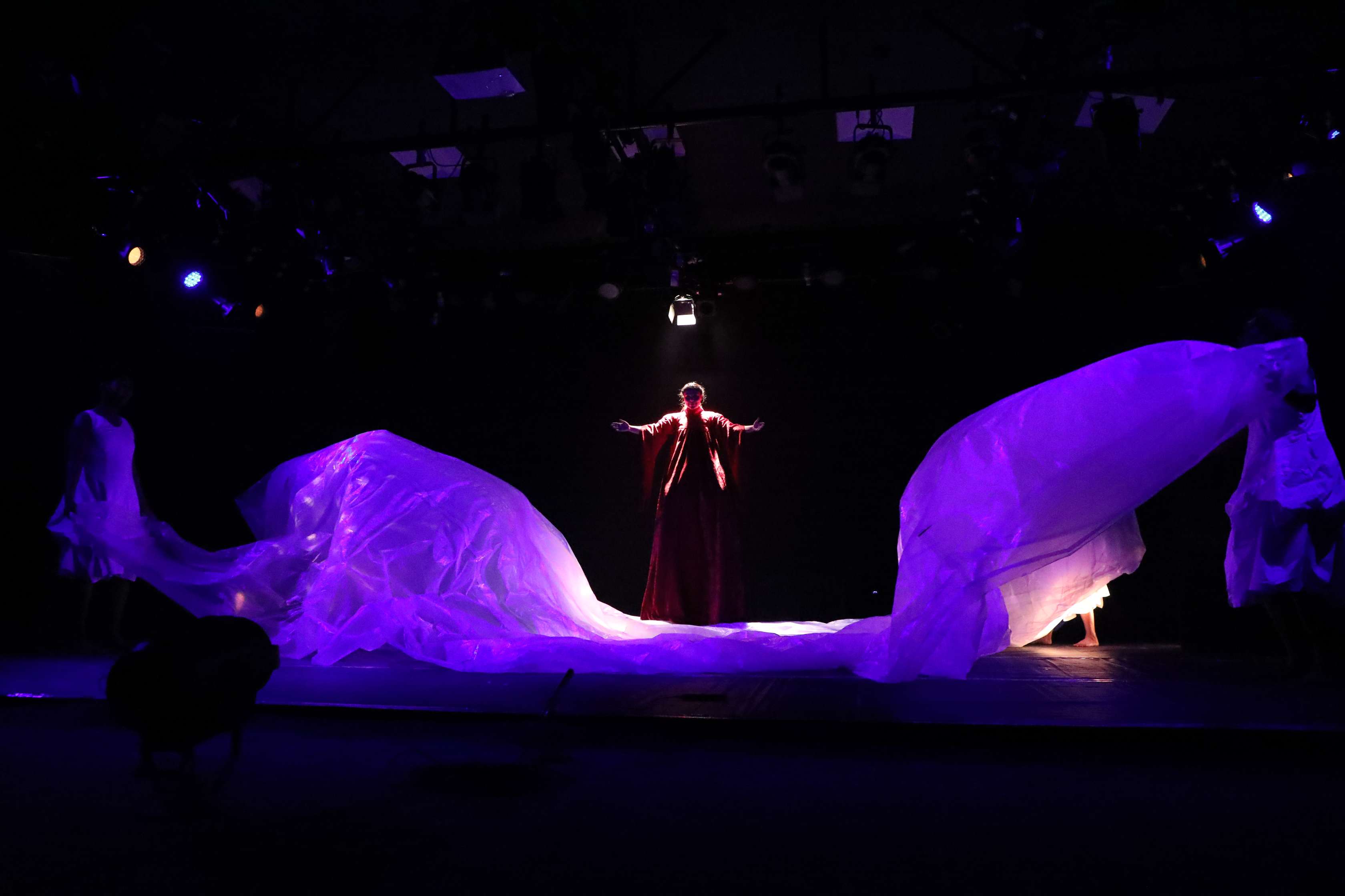  Image of A Human Endeavour',   Direction & Choreography by Shilpika Bordoloi, Jorhat 