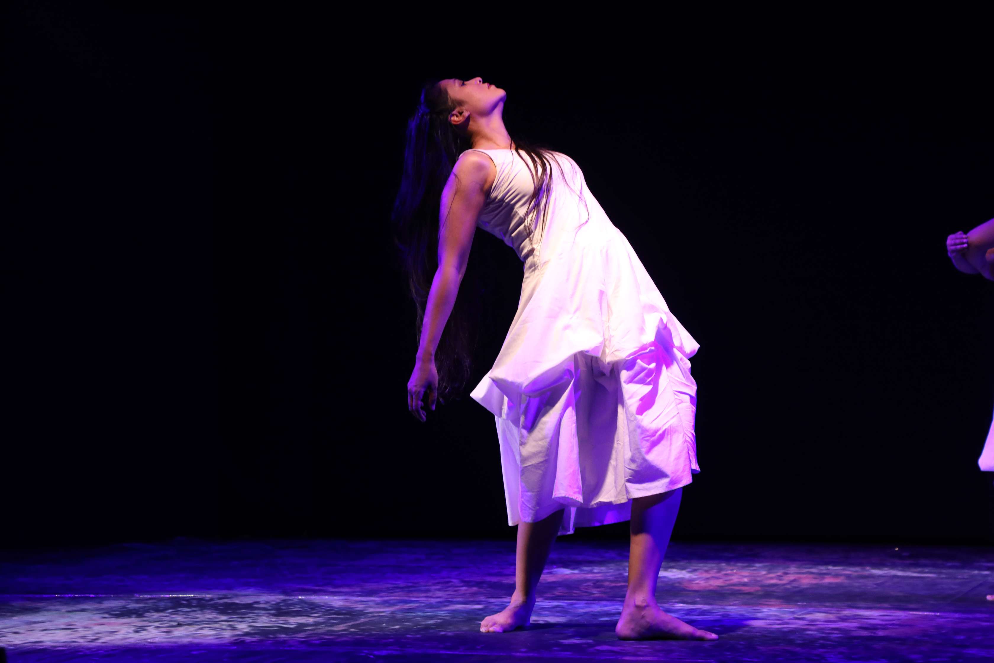  Image of A Human Endeavour',   Direction & Choreography by Shilpika Bordoloi, Jorhat 