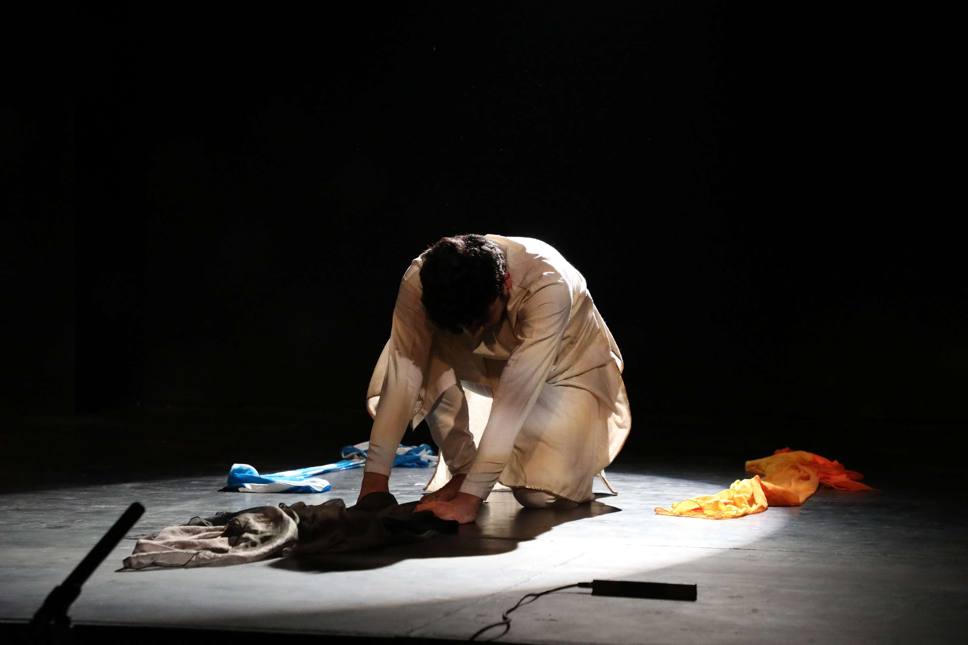  Image of Arrival, and Kathak Inside Out' by Vikram Iyengar, Kolkata 